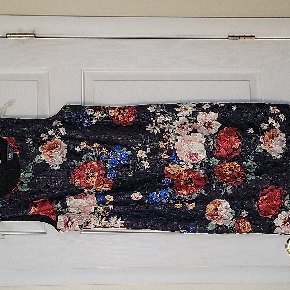 Donna Ricco Floral Sleeveless Dress - Black, Red, Blue